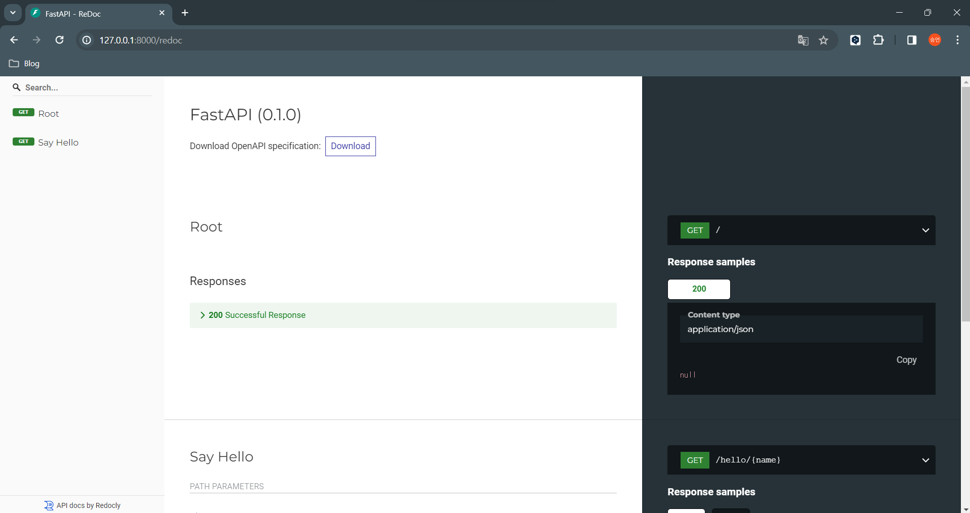 connect_api_server_redoc