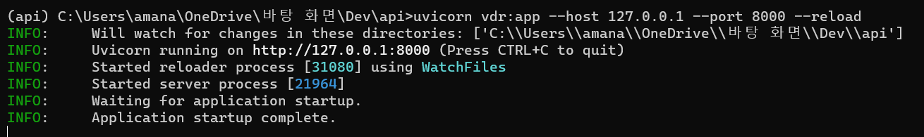 running_api_server_vdr