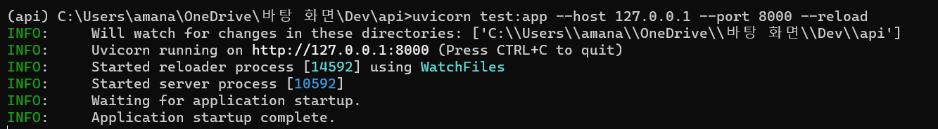 running_api_server