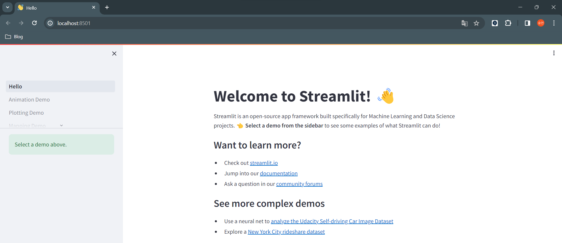 execute_hello_demo_web